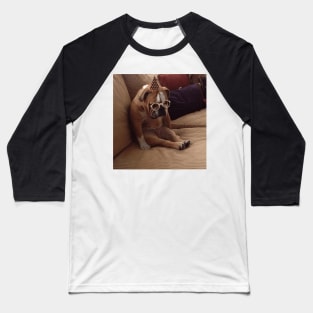 Funny Sad dog Stickers Baseball T-Shirt